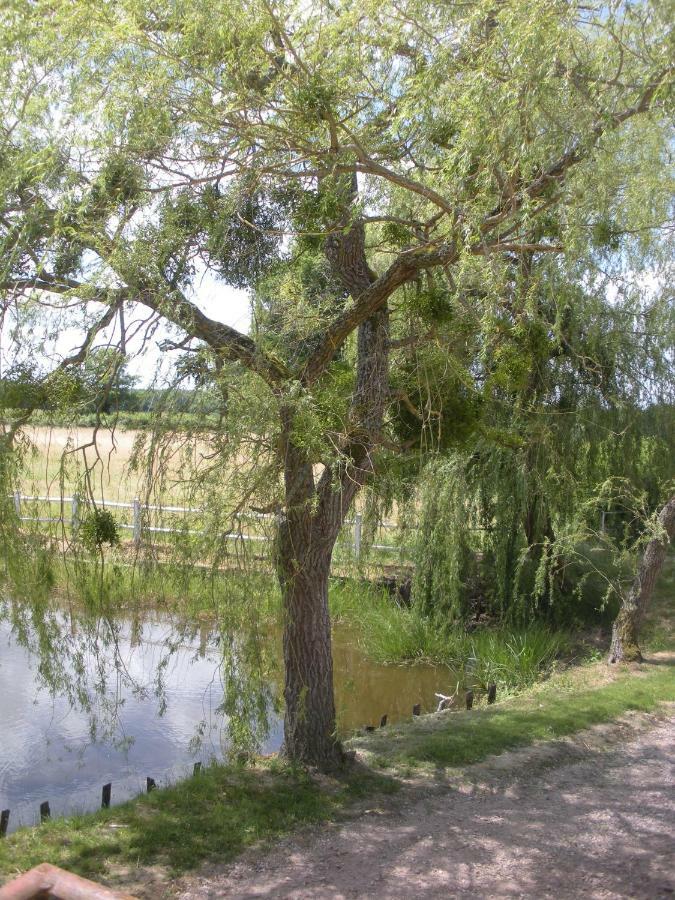 Le Domaine Du Mijarnier Bed and Breakfast Montbeugny Εξωτερικό φωτογραφία