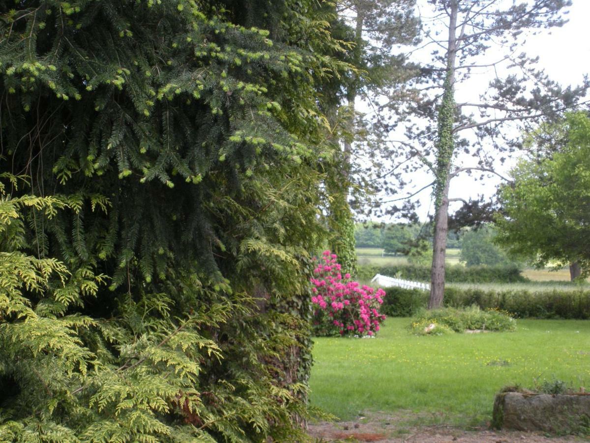 Le Domaine Du Mijarnier Bed and Breakfast Montbeugny Εξωτερικό φωτογραφία