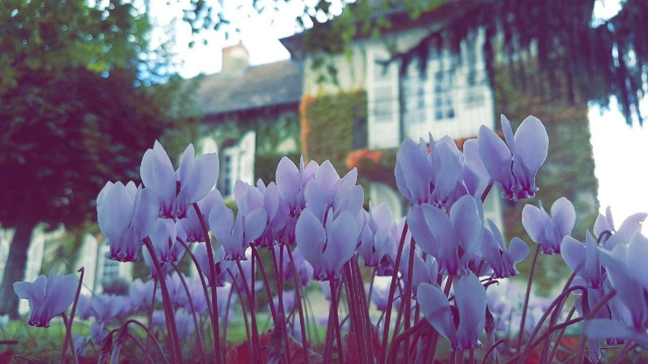 Le Domaine Du Mijarnier Bed and Breakfast Montbeugny Εξωτερικό φωτογραφία